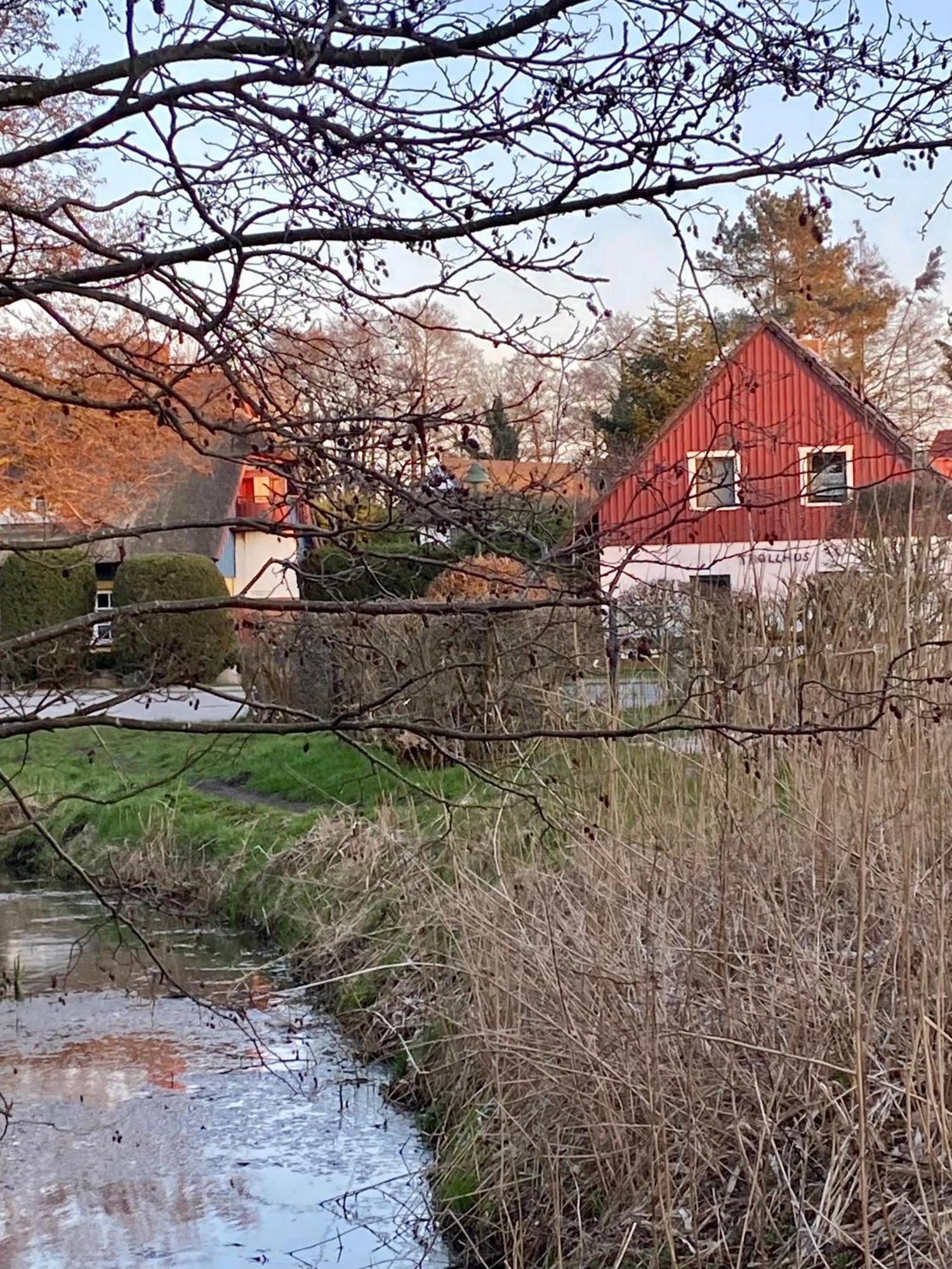 Großes familienfreundliches Ferienhaus Born Exterior foto